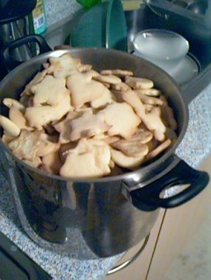 Foto 6